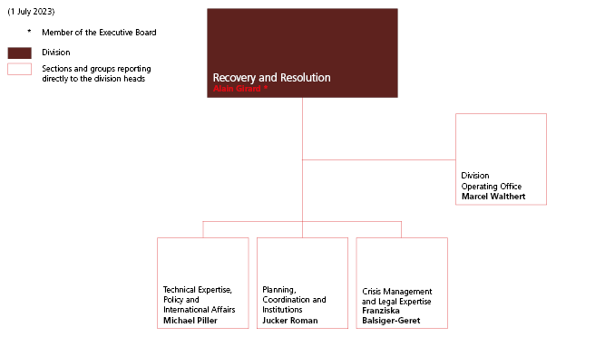 Recovery and Resolution division organisation chart
